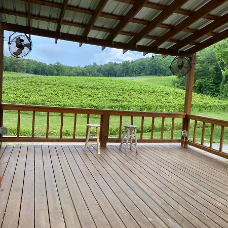 Eagle Mountain River Retreat Ellijay Extérieur photo